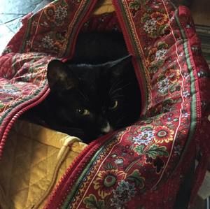 Meet your Posher, Sally